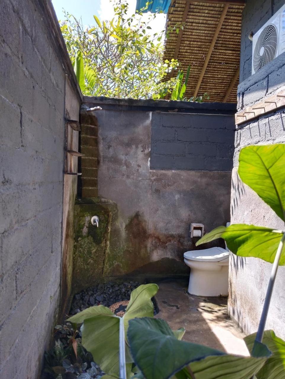 Caca Homestay Pemuteran Εξωτερικό φωτογραφία